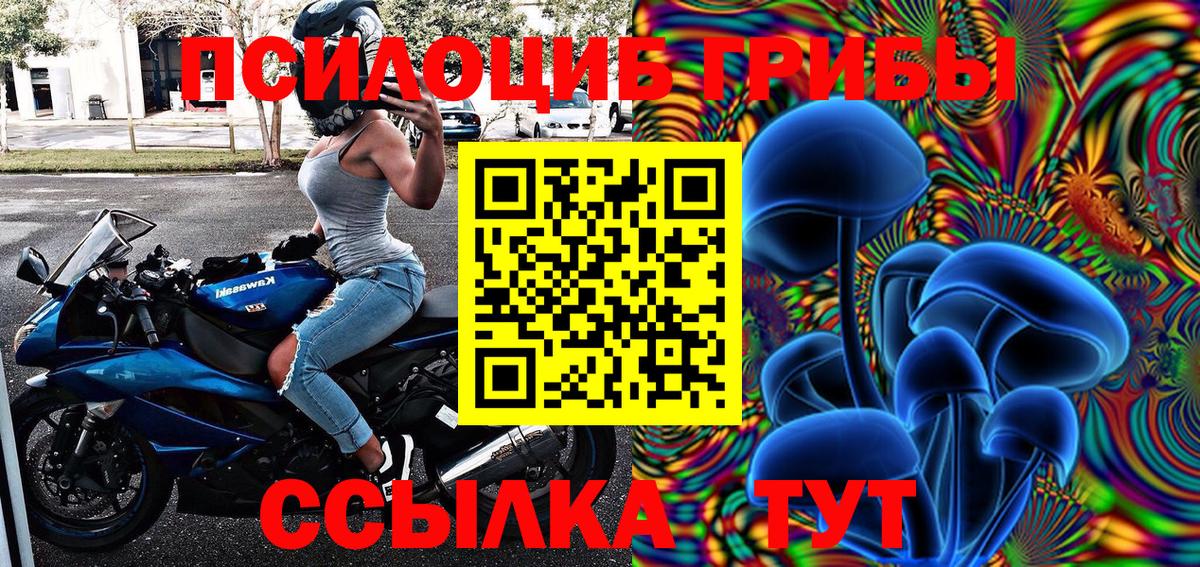 Галлюциногенные грибы GOLDEN TEACHER Копейск