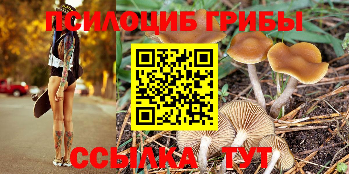 Копейск  Галлюциногенные грибы Cubensis  Вход с VPN  Псилоцибиновые грибы Psilocybine cubensis 